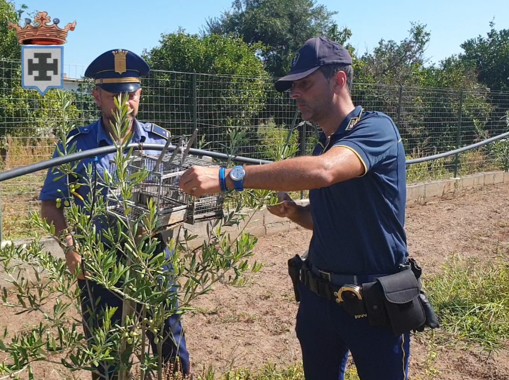 Importante operazione antibracconaggio della Polizia Provinciale in provincia di Cosenza