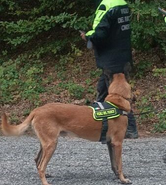 RITROVATO DOPO TRE GIORNI SANO E SALVO IL DISPERSO IN SILA
