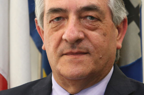 Molinaro (Lega): l’indennizzo sui danni da cinghiali del Parco della Sila penalizza gli agricoltori
