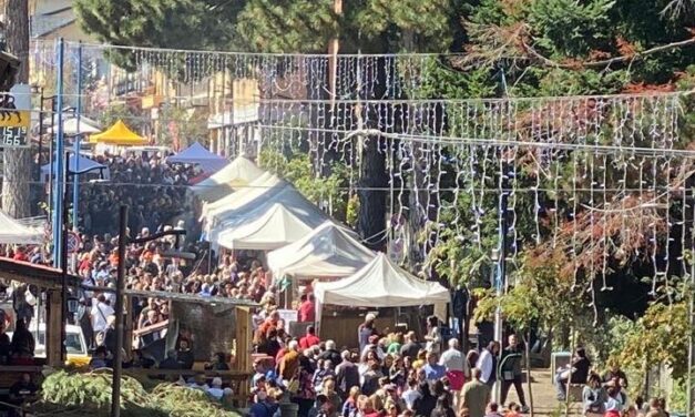 Comunicato stampa 55 edizione della sagra del fungo