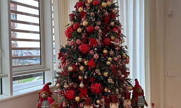 CONCORSO L’ALBERO E IL PRESEPIO PIU’ BELLO