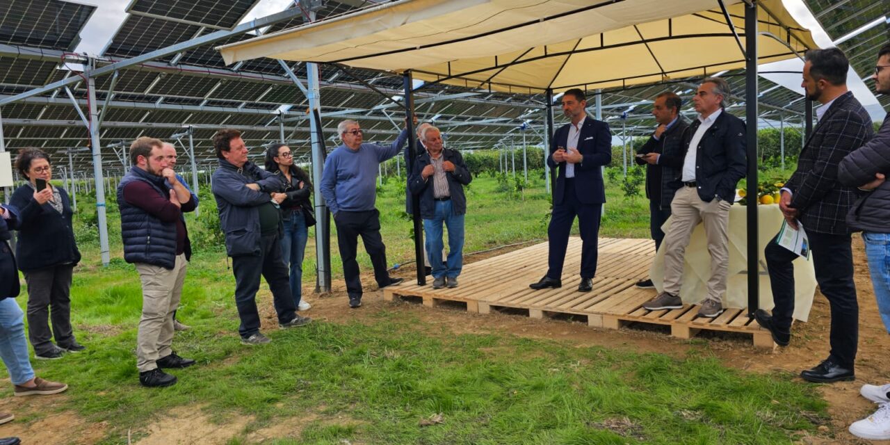 Energia, Conoscenza e Reddito: l’Agrivoltaico Innovativo dell’Azienda Martilotti, Hub Strategico per lo Sviluppo Rurale Calabrese