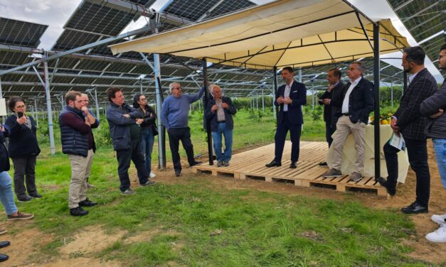 Energia, Conoscenza e Reddito: l’Agrivoltaico Innovativo dell’Azienda Martilotti, Hub Strategico per lo Sviluppo Rurale Calabrese