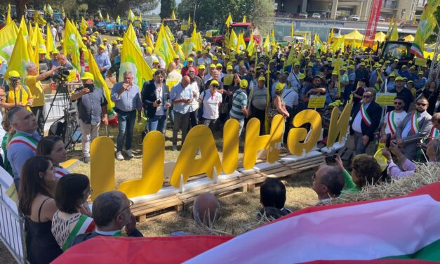 Coldiretti Calabria, cinghiali in Sila: “Bene l’attivazione dei selecontrollori nel Parco. Un primo importante passo nella giusta direzione”