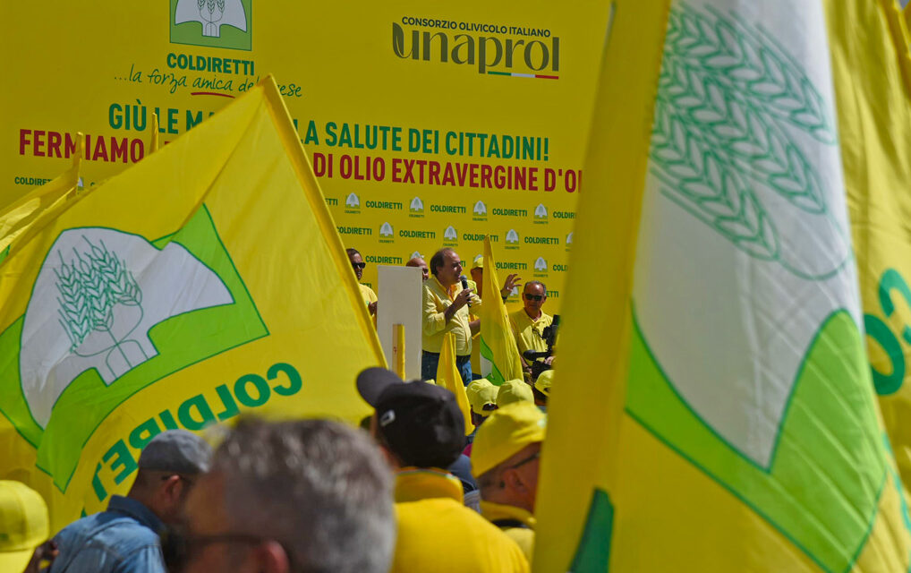 OLIO, COLDIRETTI: BASTA MISCELAZIONI EXTRAVERGINE CHE INGANNANO I CITTADINI. COSI’ SI FERMANO I TRAFFICANTI DI OLIO
