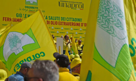 OLIO, COLDIRETTI: BASTA MISCELAZIONI EXTRAVERGINE CHE INGANNANO I CITTADINI. COSI’ SI FERMANO I TRAFFICANTI DI OLIO