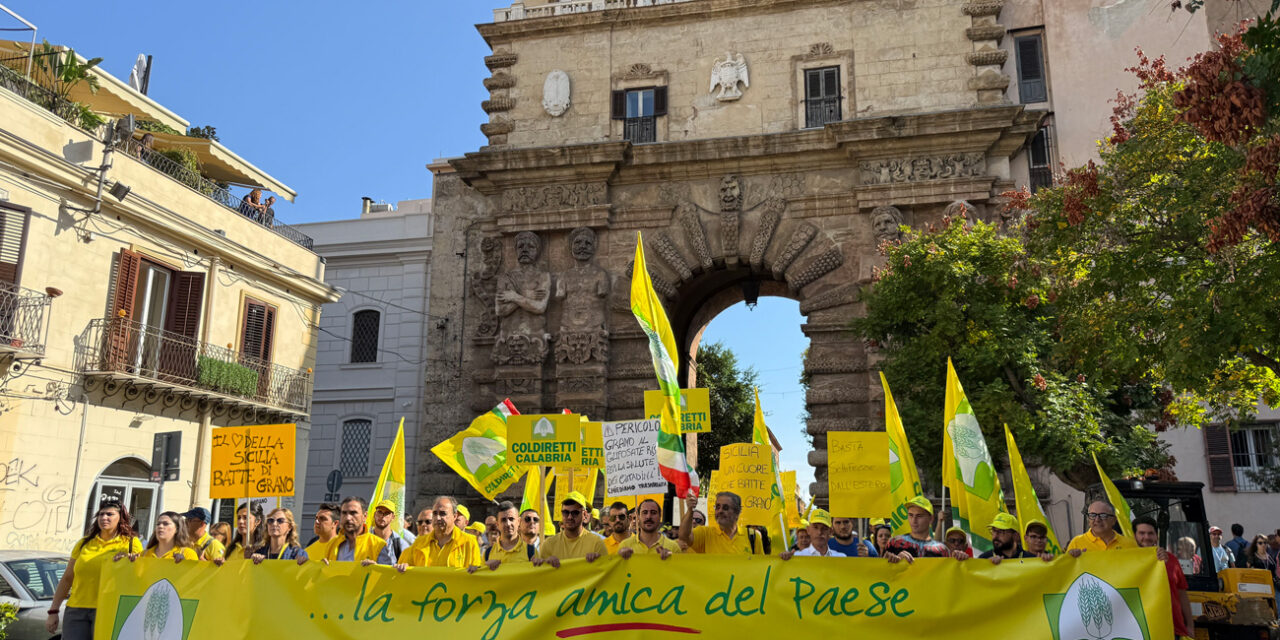 Pasta, Coldiretti Calabria: bene gli spot del Masaf. Ora fermare i trafficanti del grano e fare chiarezza sugli scaffali.