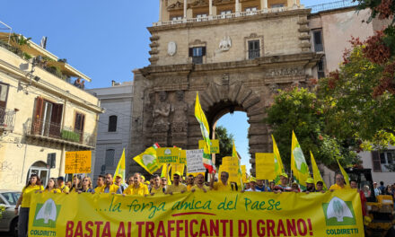 Pasta, Coldiretti Calabria: bene gli spot del Masaf. Ora fermare i trafficanti del grano e fare chiarezza sugli scaffali.