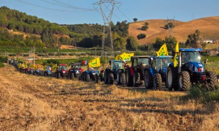 CARO GASOLIO: COLDIRETTI, BENE GOVERNO SU NUOVI AIUTI PER 60 MILIONI DI EURO, DIFENDERE SALUTE DEI CITTADINI E REDDITO AGRICOLTORI